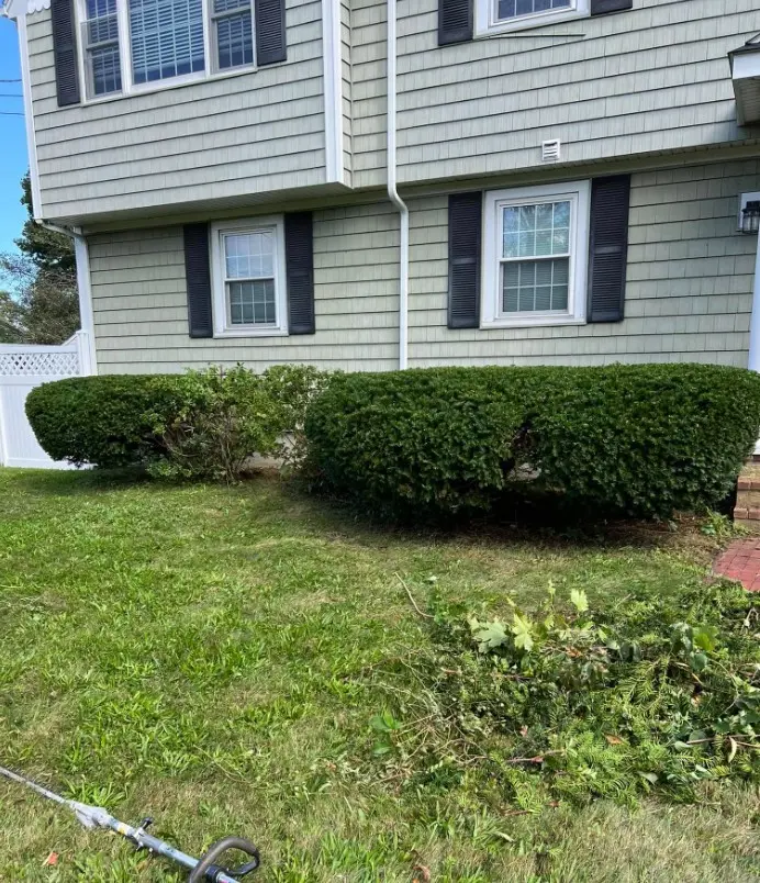 Residential hedge trimming and shrub care in Plymouth Massachusetts