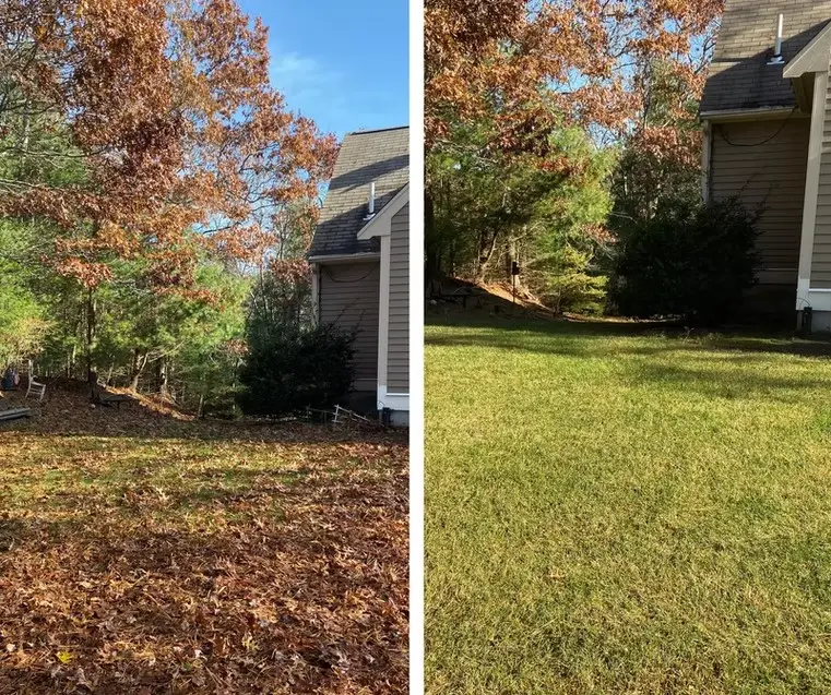Before and after spring landscape cleanup in Plymouth MA