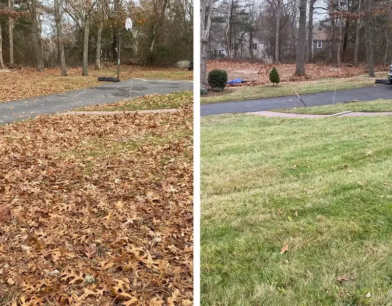 Property cleanup and lawn restoration before and after