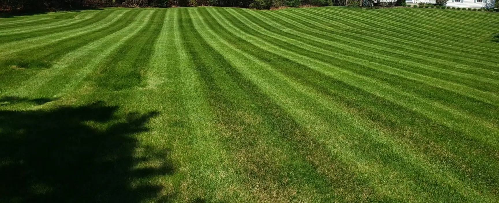Consistent weekly lawn mowing for an even green lawn in Plymouth MA