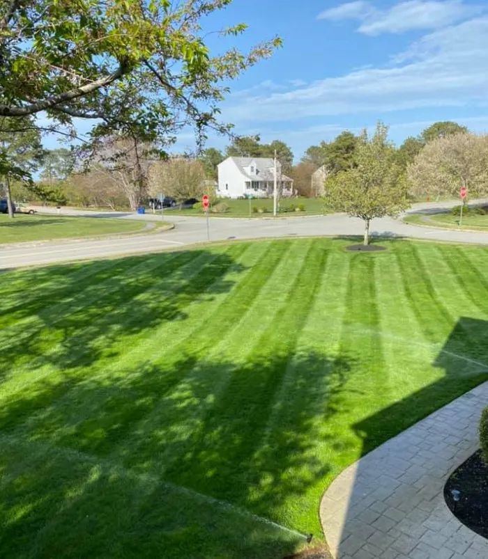 Freshly striped lawn maintained by Medhaug Landscaping in Plymouth MA